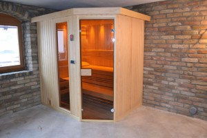 finska sauna 7 2013